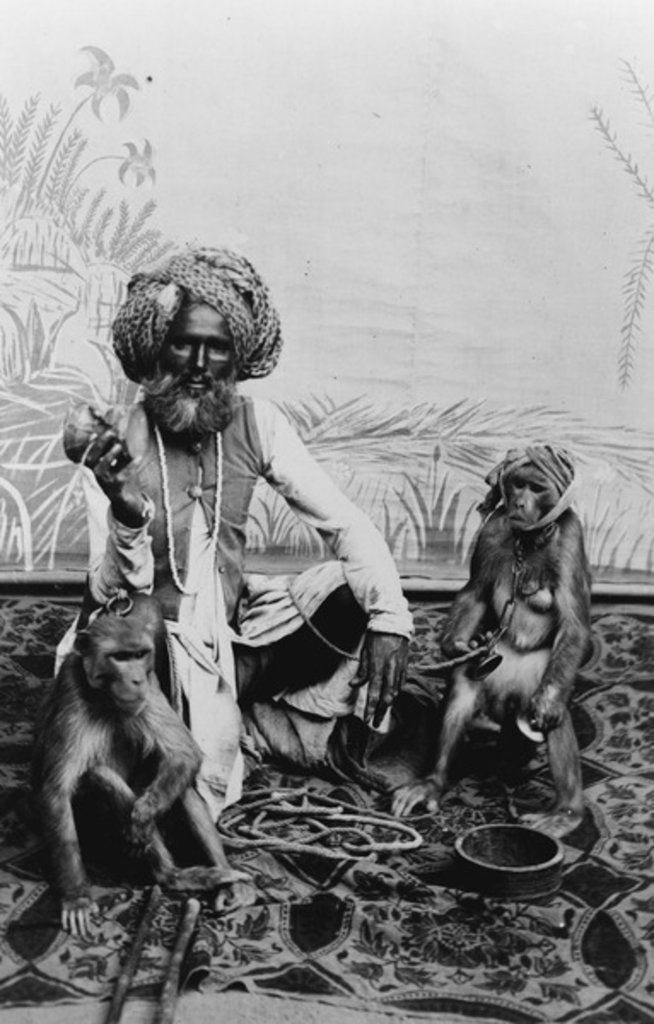 Detail of India, Fakir with monkeys, c.1890-1925 by Anonymous