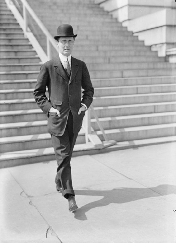 Detail of Franklin D. Roosevelt, c.1913-17 by Harris & Ewing