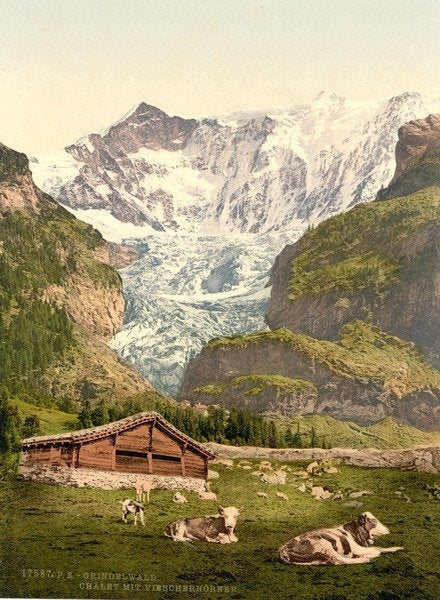 Detail of Grindelwald, chalet and Vischerhorn, Bernese Oberland, Switzerland, c.1890-c.1900 by Anonymous