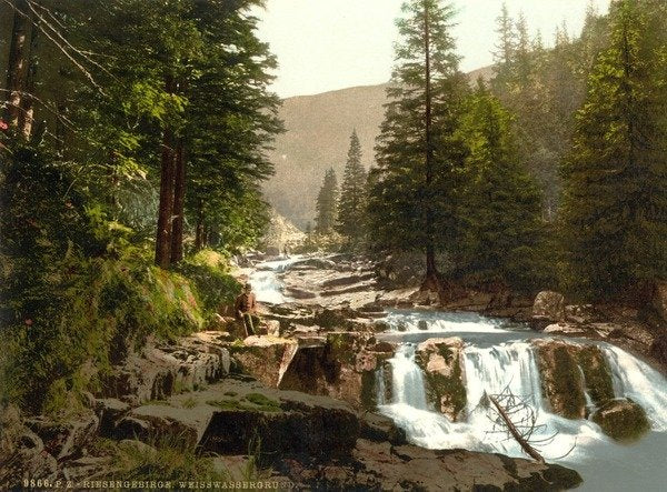 Detail of Weisswassergrund, Riesengebirge, Germany, c.1890-c.1900 by Anonymous