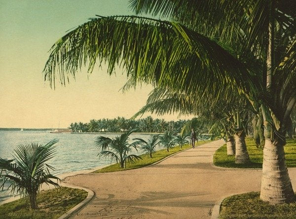 Detail of The walk at Palm Beach, c.1898 by Anonymous