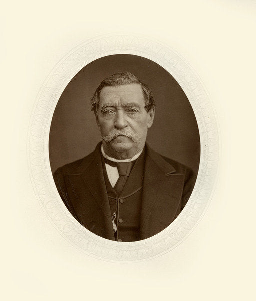 Detail of Lord Napier of Magdala by Georges Fraipont