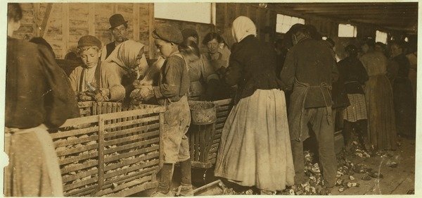 Detail of Johnnie, oyster shucker aged 9 watched by boss of the shucking shed at Dunbar, Louisiana, 1911 by Lewis Wickes Hine