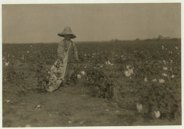 Detail of 5 year old Willie Hesse picks 15 pounds of cotton a day on his parents' 80 acre farm near West, Texas, 1913 by Lewis Wickes Hine