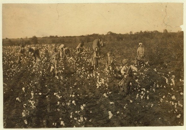 Detail of Family picking cotton near McKinney, Texas, 1913 by Lewis Wickes Hine