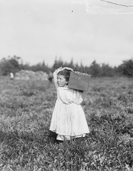 Detail of Jennie Camillo picking cranberries at Theodore Budd's Bog, Turkeytown, New Jersey, 1910 by Lewis Wickes Hine