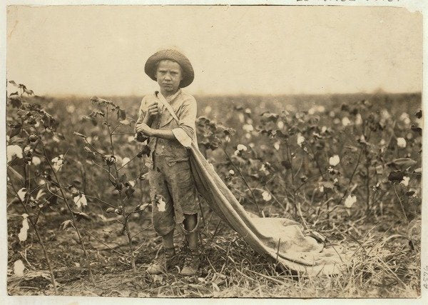 Detail of 6-year old Warren Frakes with about 20 pounds of cotton in his bag at Comanche County, Oklahoma, 1916 by Lewis Wickes Hine