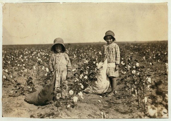 Detail of Jewel and Harold Walker, 6 and 5 years old, pick 20 to 25 pounds of cotton a day at Geronimo,Comanche County Oklahoma, 1916 by Lewis Wickes Hine