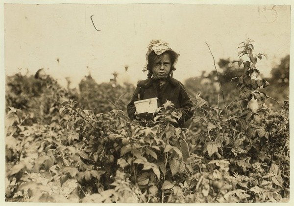 Detail of Annie Bissie picking berries in the fields near Baltimore, Maryland, 1909 by Lewis Wickes Hine