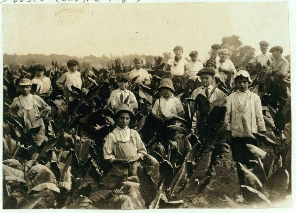 Detail of Goodrich Tobacco Farm, near Gildersleeve, Connecticut, 1917 by Lewis Wickes Hine