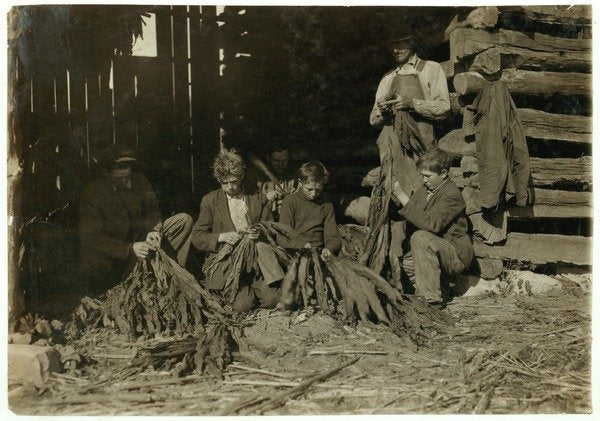 Detail of Sons of J.H. Burch aged 12, 14 & 17 stripping tobacco during school hours at Warren County, Rockfield, Kentucky, 1916 by Lewis Wickes Hine