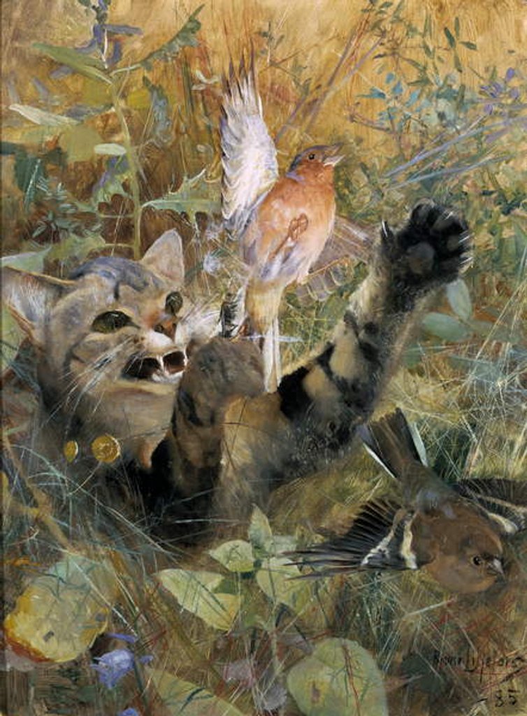 Detail of A Cat and a Chaffinch, 1885 by Bruno Andreas Liljefors