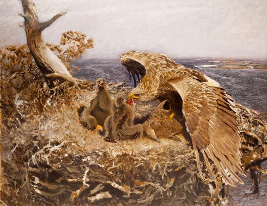 Detail of Sea Eagle's Nest, 1907 by Bruno Andreas Liljefors