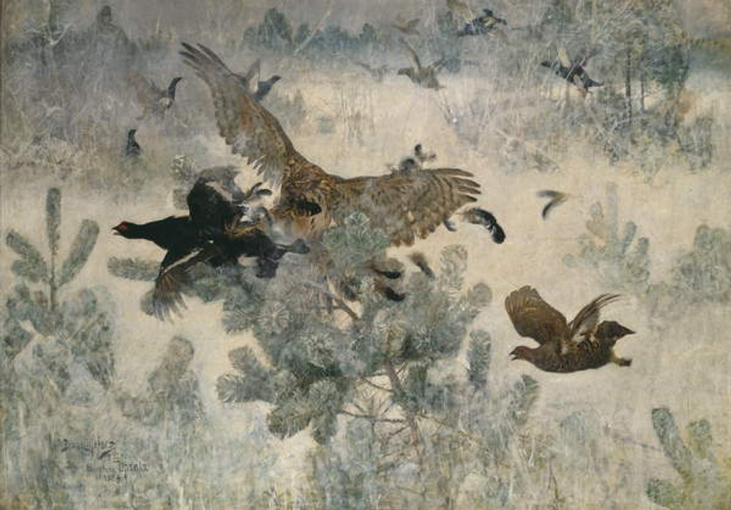 Detail of Hawk and Black Game, 1884 by Bruno Andreas Liljefors