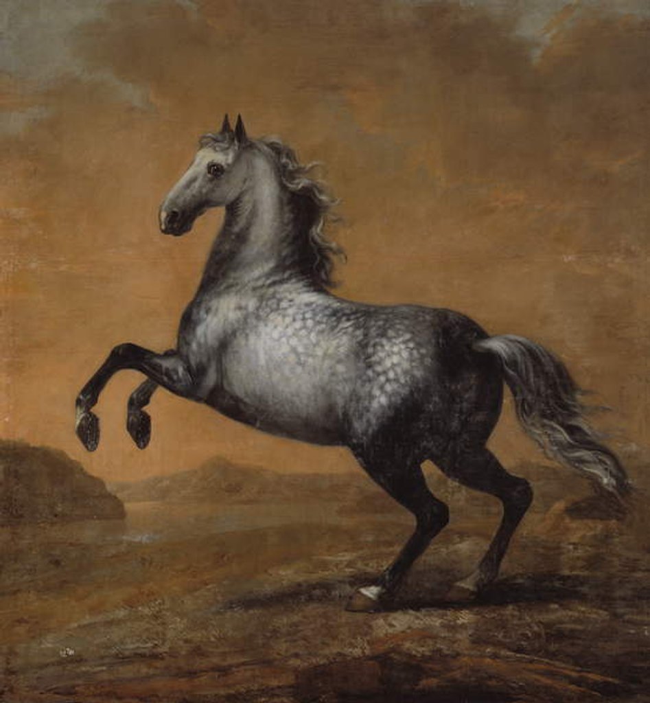 Detail of The Little Englishman, King Karl XI's Horse by David Klocker Ehrenstrahl