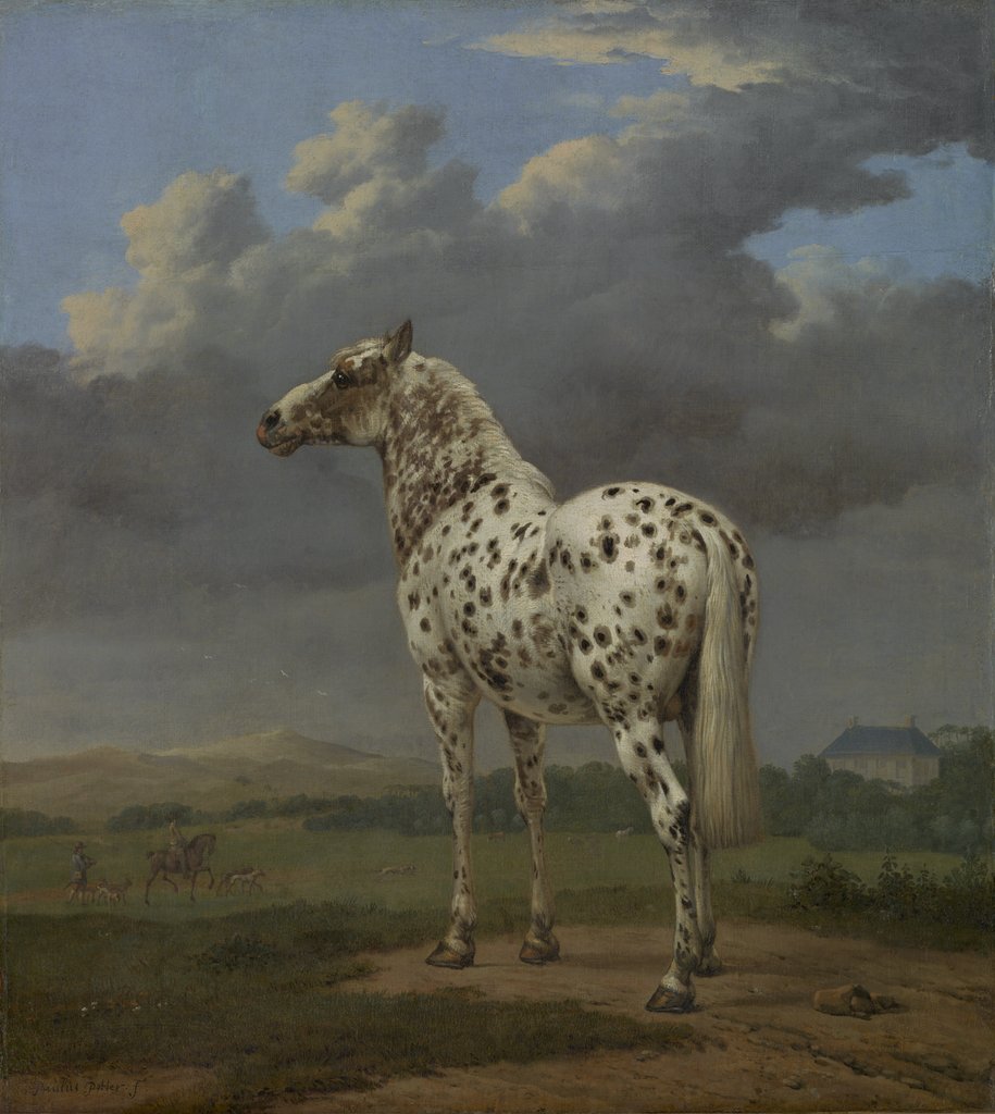 Detail of The 'Piebald' Horse, c.1650-4 by Paulus Potter