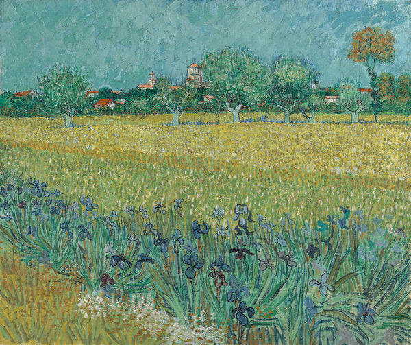 Detail of Field with flowers near Arles, 1888 by Vincent van Gogh