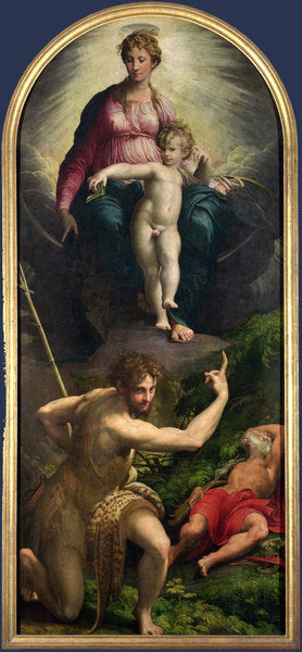 Detail of Madonna and Child with St. John and St. Jerome, 1526-27 by Parmigianino