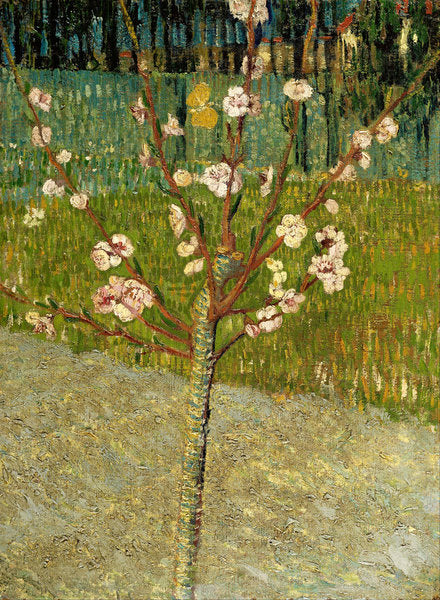 Detail of Almond Tree in Blossom, 1888 by Vincent van Gogh