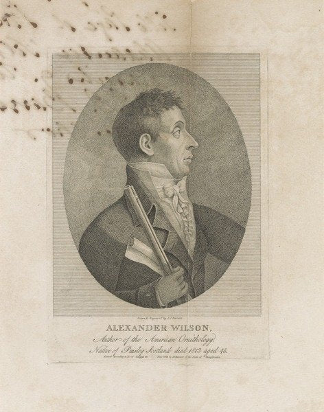 Detail of Alexander Wilson, 1814 by John James Barralet