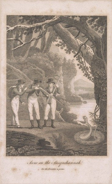 Detail of Alexander Wilson and companions on the Susquehanna, 1809 by American School