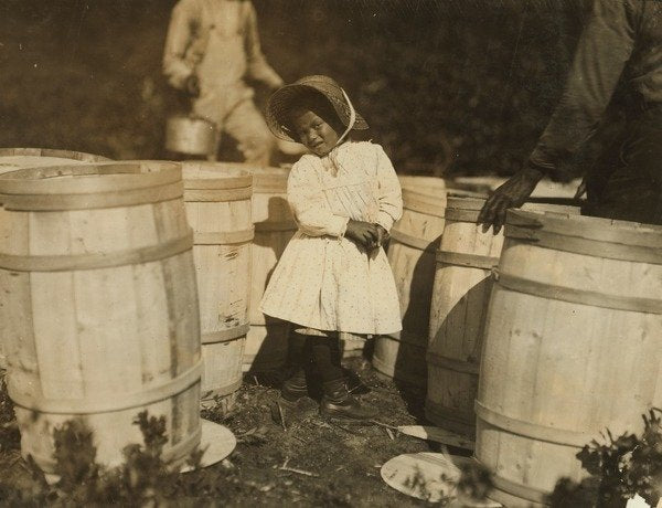 Detail of Mary Christmas, only 3, made to pick cranberries spilt at the barrels by her grandfather, Week's Bog, Falmouth, Massachusetts, 1911 by Lewis Wickes Hine