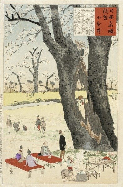 Detail of Koganei, Cherry Blossoms from Sketches of Famous Places in Japan, 1896 by Kiyochika Kobayashi
