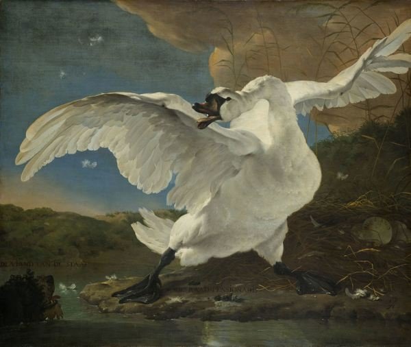 Detail of The Threatened Swan, c.1650 by Jan Asselyn