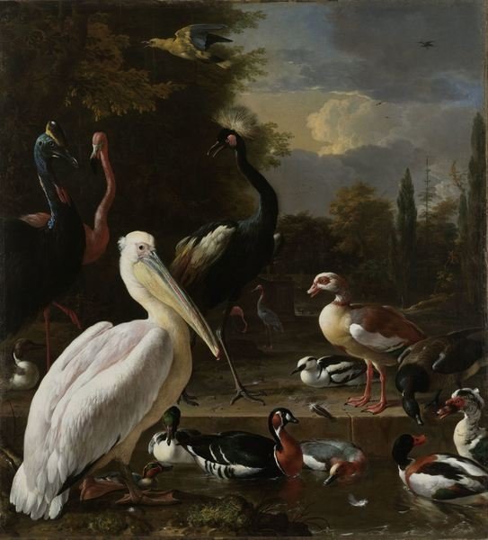 Detail of A Pelican and other Birds near a Pool, Known as ‘The Floating Feather’, c.1680 by Melchior de Hondecoeter