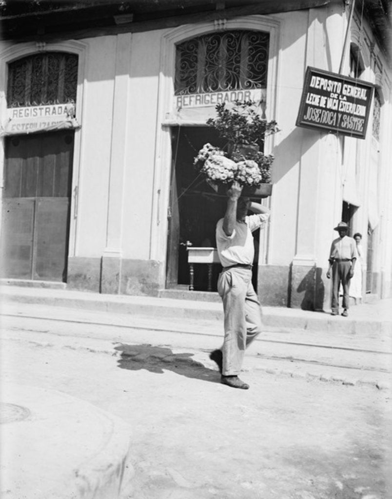Detail of Flower vendor, Havana, c.1910 by American Photographer