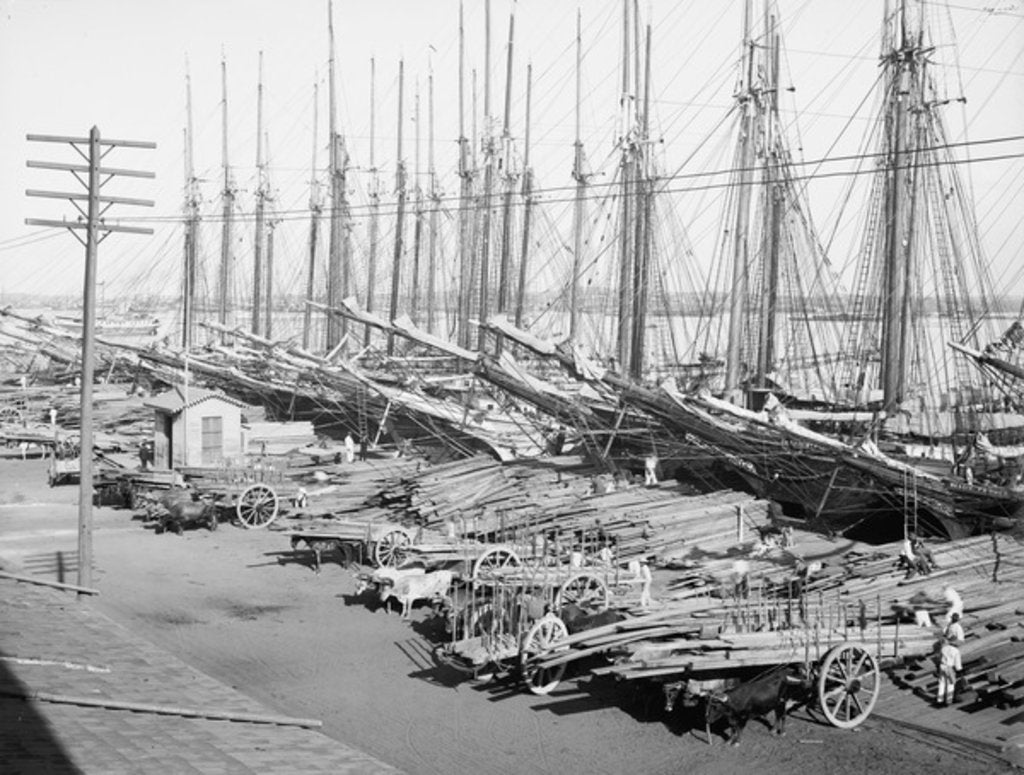 Detail of Muelle Tallapiedras, Havana, c.1904 by American Photographer