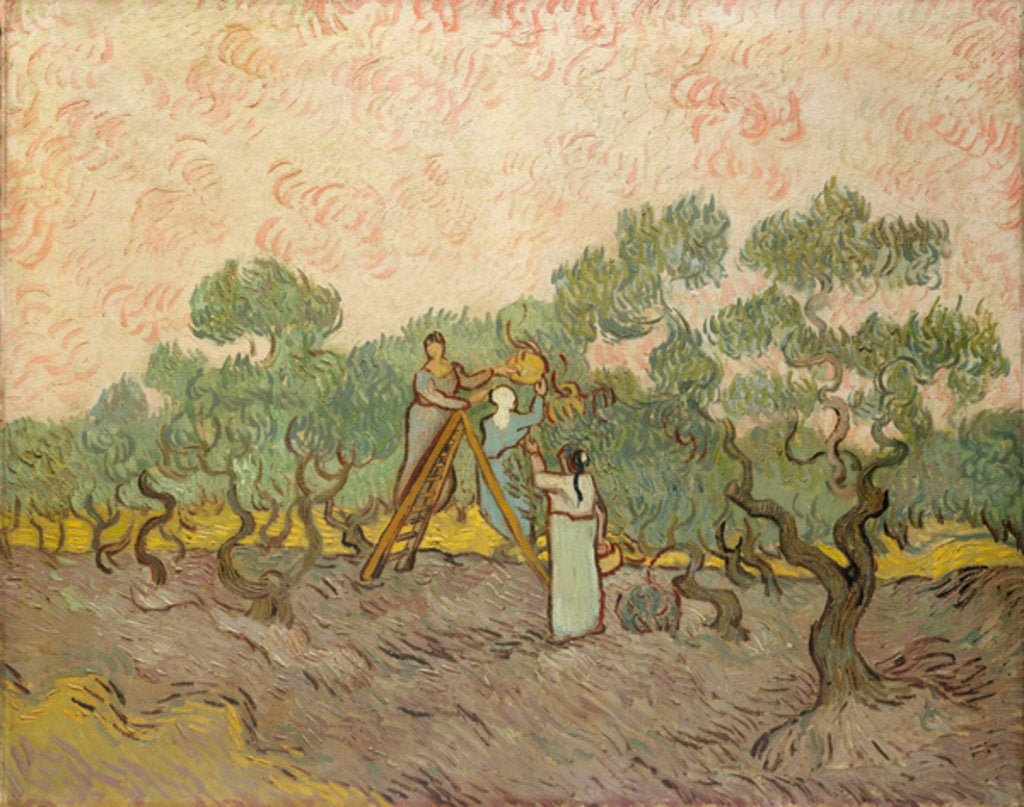 Detail of The Olive Pickers, Saint-Remy, 1889 by Vincent van Gogh
