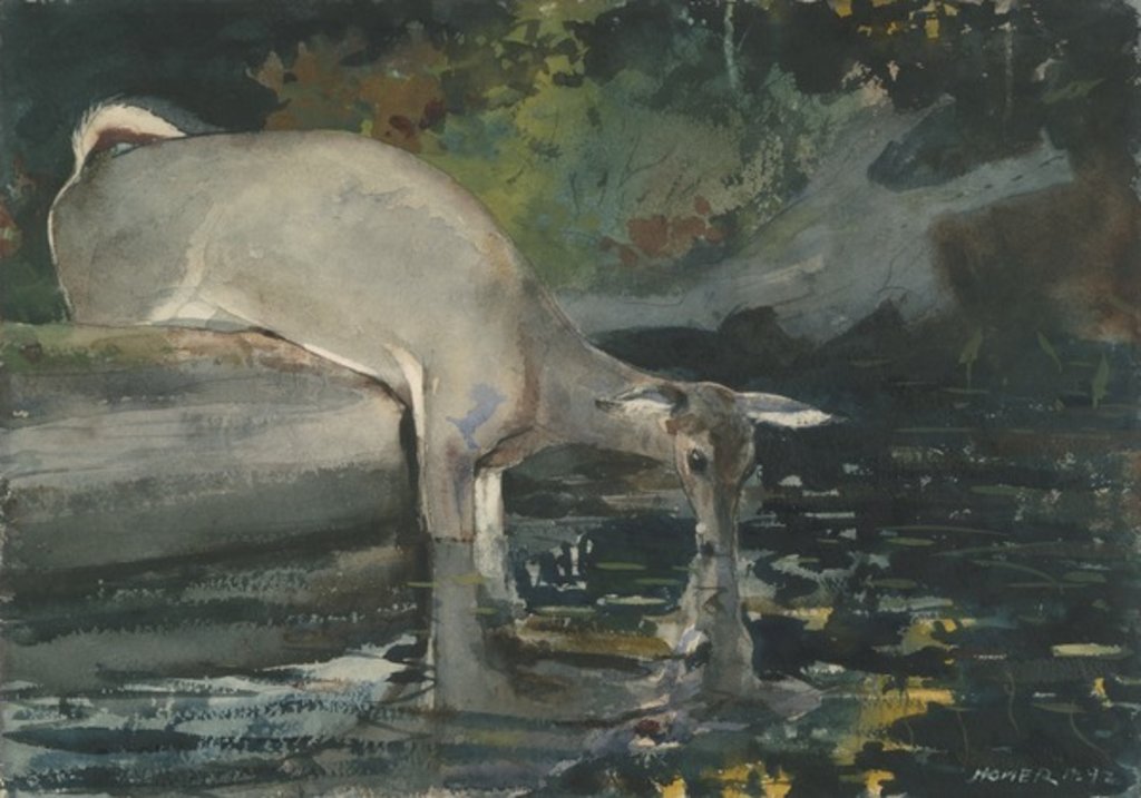 Detail of Deer Drinking, 1892 by Winslow Homer