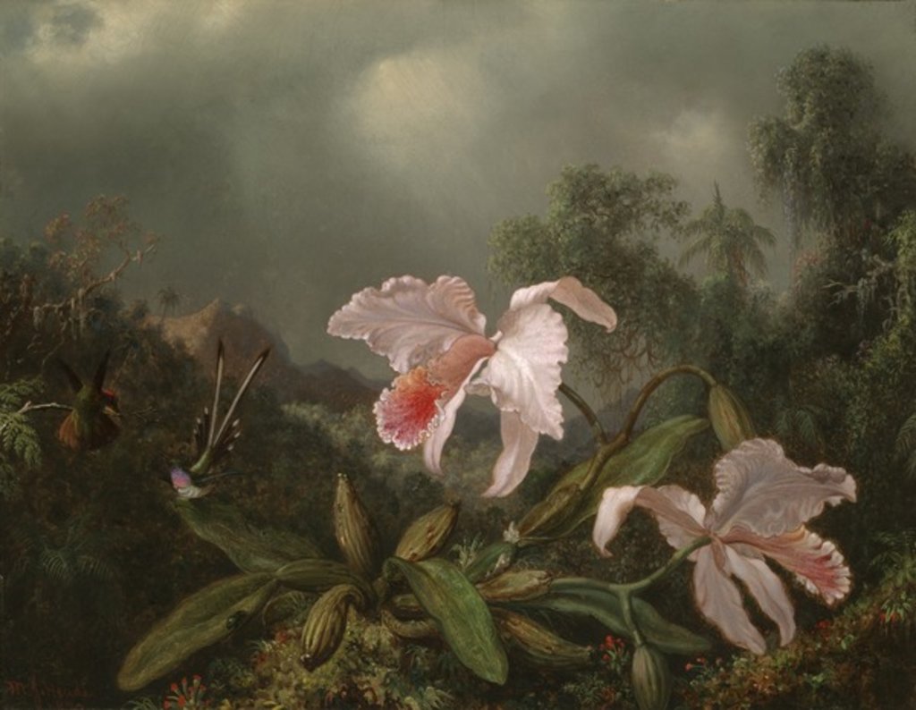 Detail of Jungle Orchids and Hummingbirds, 1872 by Martin Johnson Heade