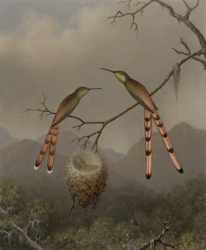 Detail of Two Hummingbirds with Their Young, c.1865 by Martin Johnson Heade