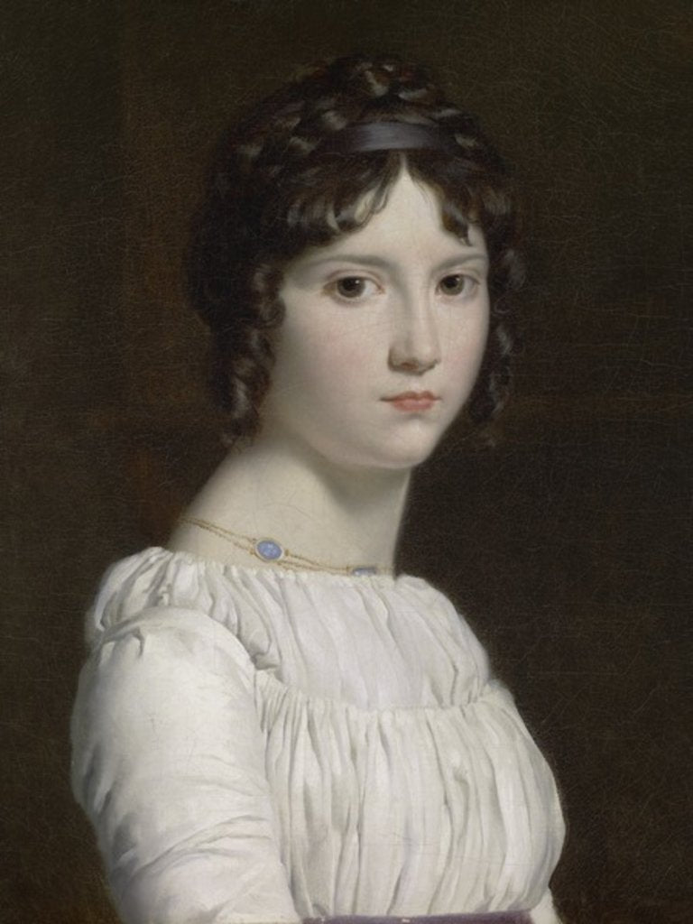 Detail of Portrait of Alexandrine Émilie Brongniart, 1795 by Francois Pascal Simon Baron Gerard