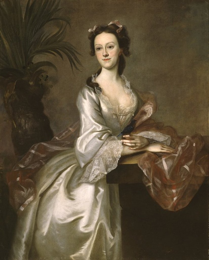 Detail of Portrait of Mrs. John Pigott, c.1752 by Joseph Jonathan Blackburn