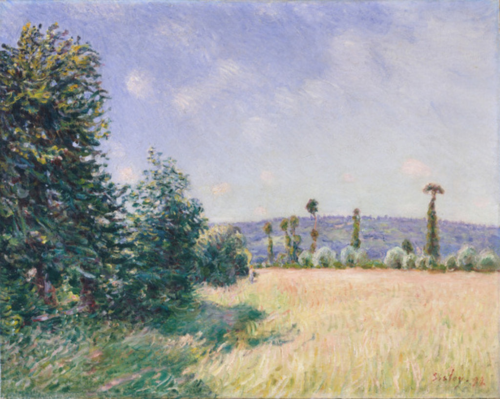 Detail of Sahurs Meadows in Morning Sun, 1894 by Alfred Sisley