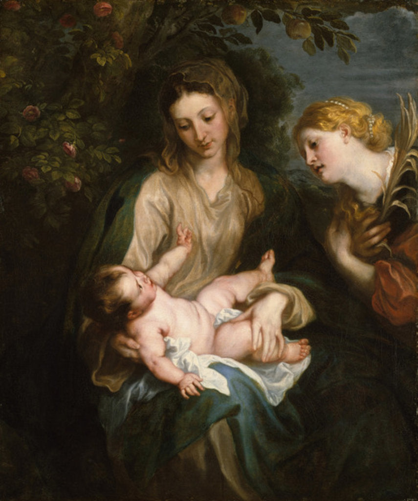 Detail of Virgin and Child with Saint Catherine of Alexandria, c.1630 by Anthony van Dyck