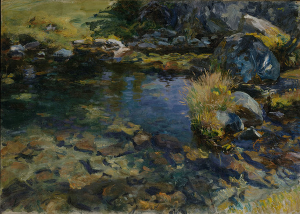 Detail of Alpine Pool, 1907 by John Singer Sargent