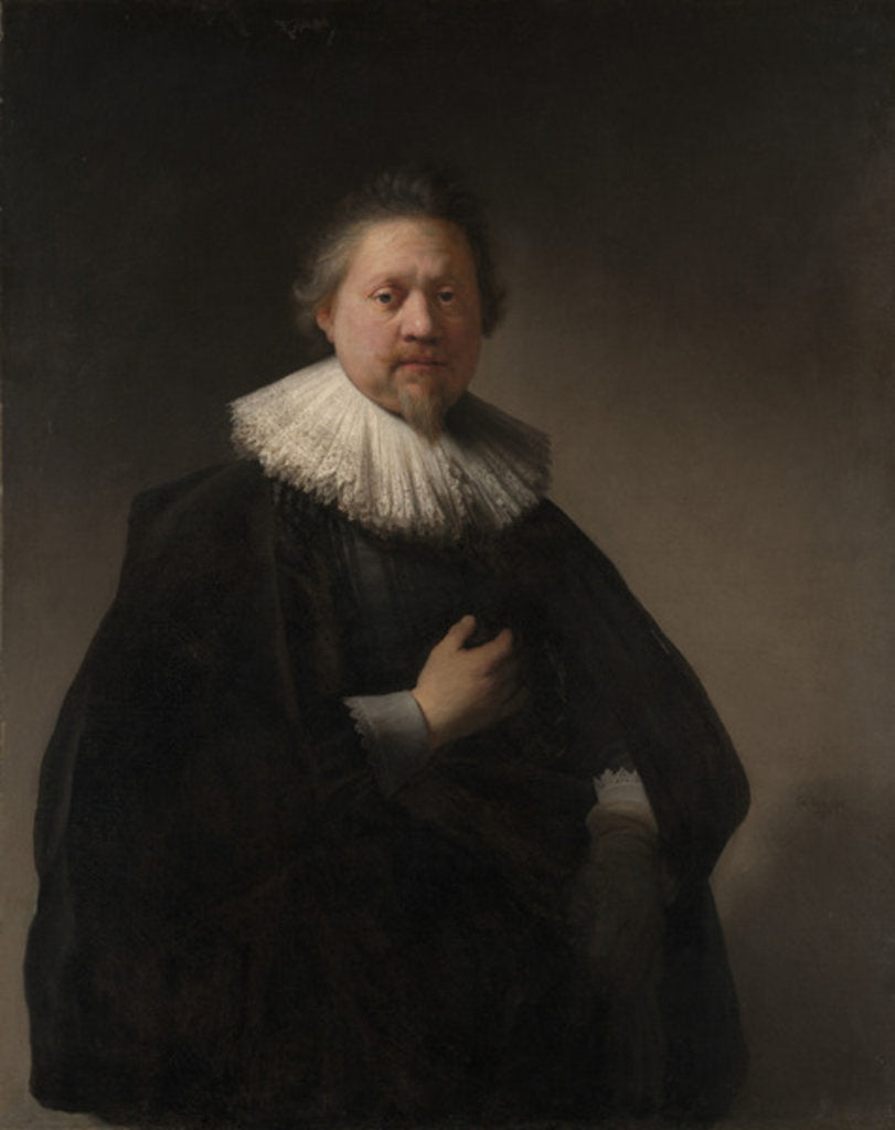 Detail of Portrait of a Man, probably a Member of the Van Beresteyn Family, 1633 by Rembrandt Harmensz. van Rijn