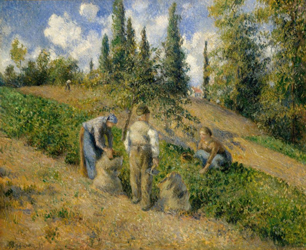 Detail of The Harvest, Pontoise, 1881 by Camille Pissarro