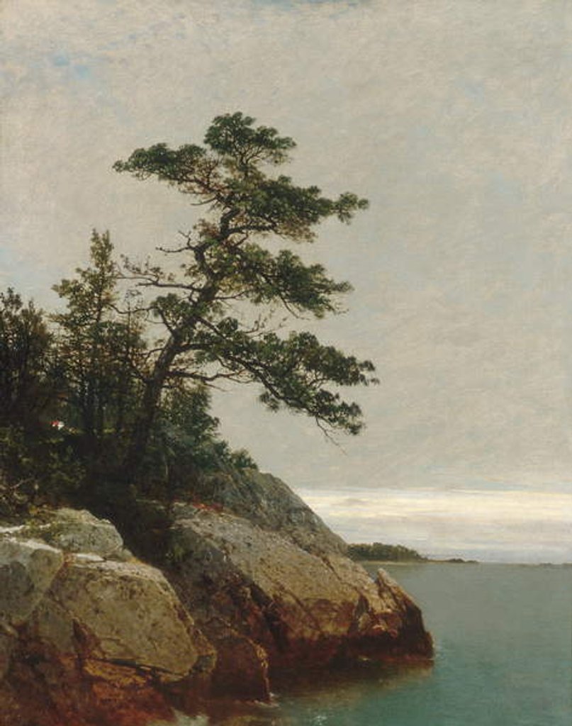 Detail of The Old Pine, Darien, Connecticut, 1872 by John Frederick Kensett