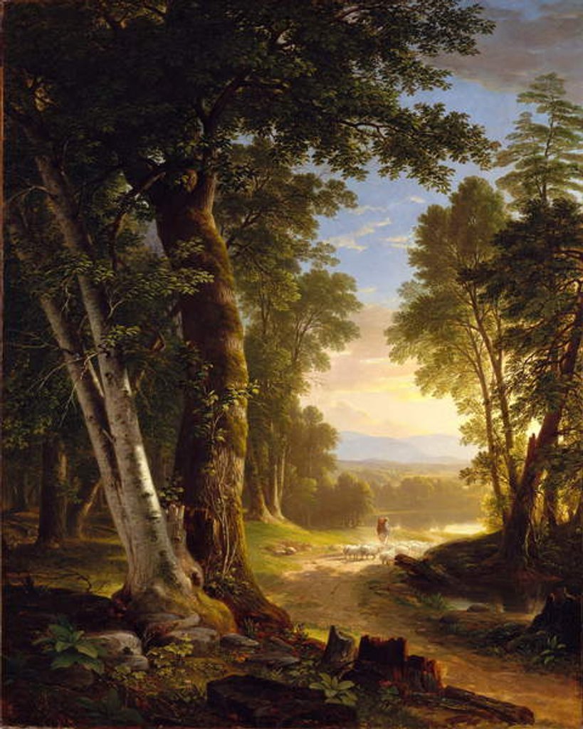 Detail of The Beeches, 1845 by Asher Brown Durand