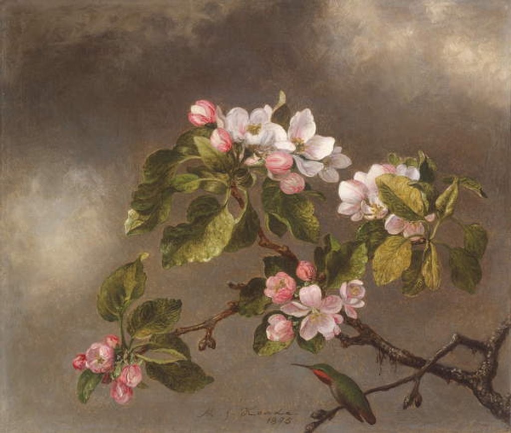 Detail of Hummingbird and Apple Blossoms, 1875 by Martin Johnson Heade