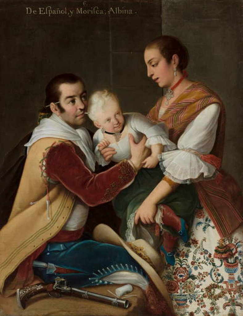 Detail of Albino Girl from Spaniard and Morisca, 1763 by Miguel Cabrera