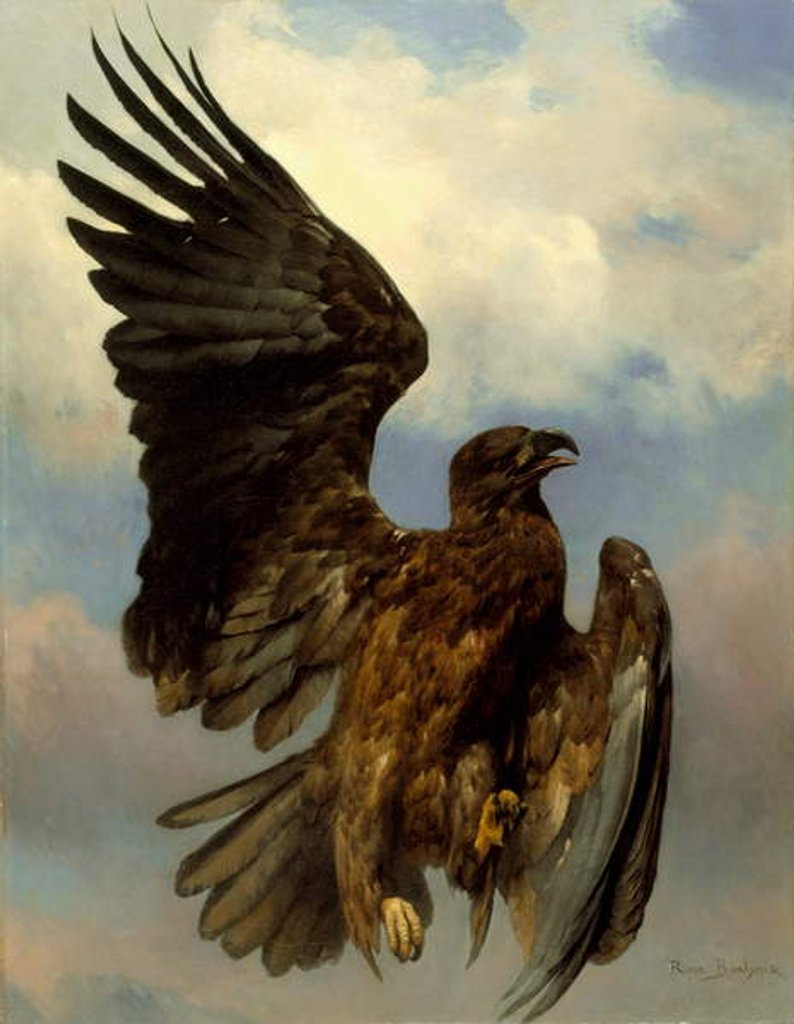 Detail of The Wounded Eagle, c.1870 by Rosa Bonheur