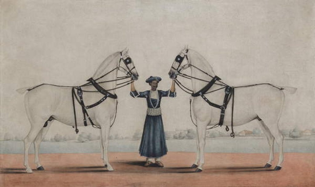 Detail of A Syce Holding Two Carriage Horses, c.1845 by Shaik Muhammad Amir of Karraya