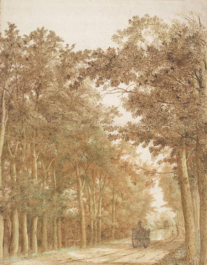 Detail of Trail through a forest, c.1638-42 by Cornelis Vroom