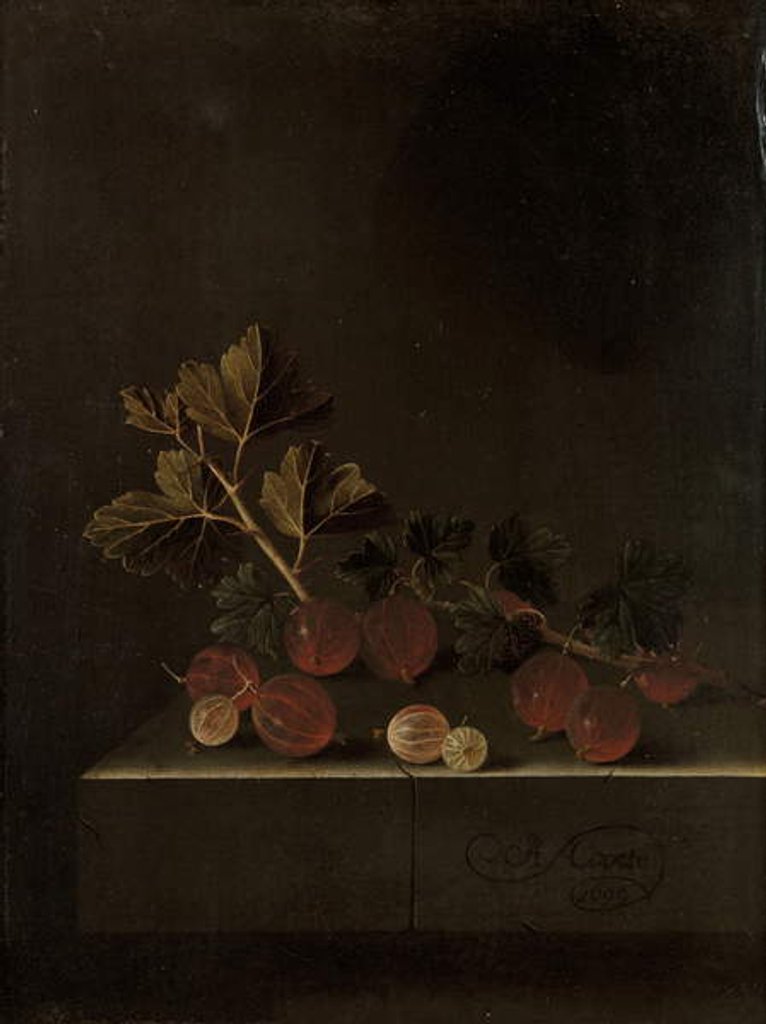 Detail of A Sprig of Gooseberries on a Stone Plinth, 1699 by Adrian Coorte